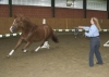 Jetzt sichern! Buchen Sie ein Angebot von Coaching by Horse und erhalten Sie einen Rabatt von 20%!